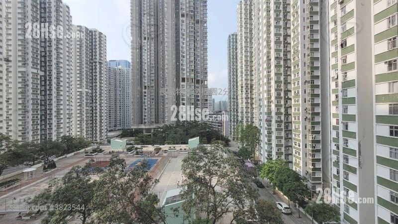 Nan Fung Sun Chuen Rental 3 Bedrooms , 1 Bathroom 570 ft²