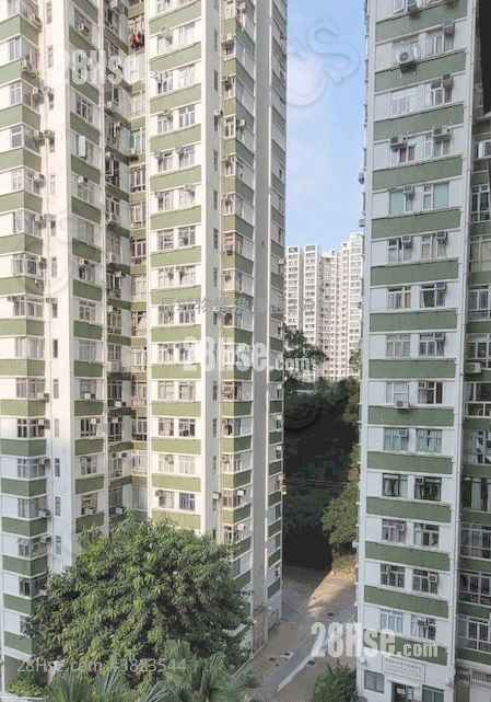 Nan Fung Sun Chuen Rental 3 Bedrooms , 1 Bathroom 570 ft²