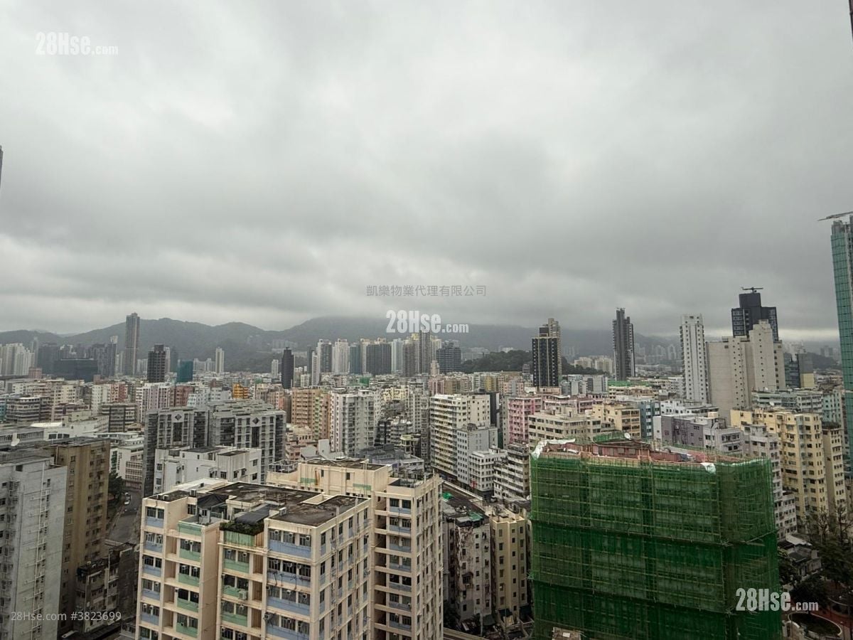 Larchwood 租盘 259 平方尺