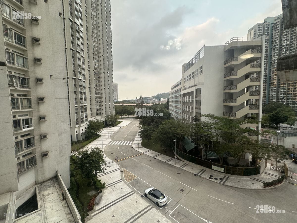 Kingswood Villas Rental 2 Bedrooms , 1 Bathroom 448 ft²