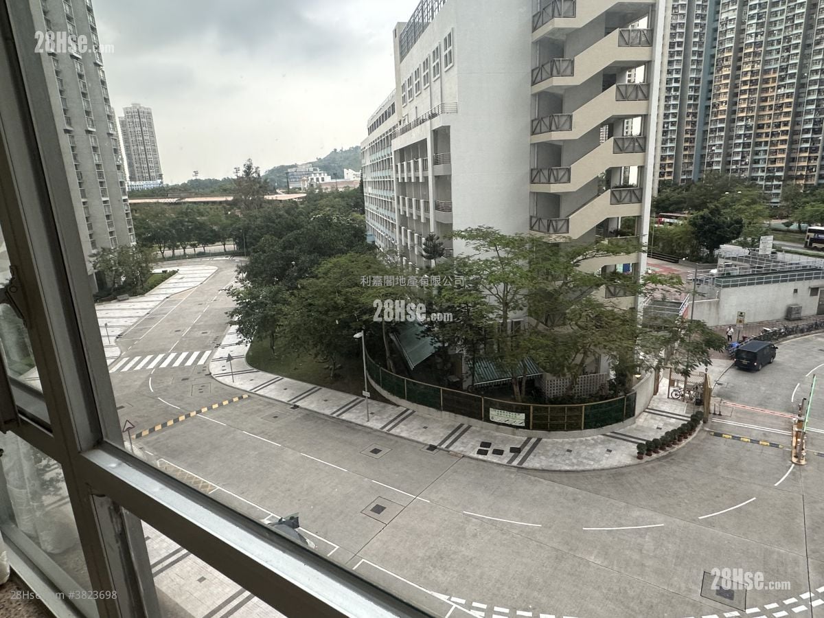 Kingswood Villas Rental 2 Bedrooms , 1 Bathroom 448 ft²