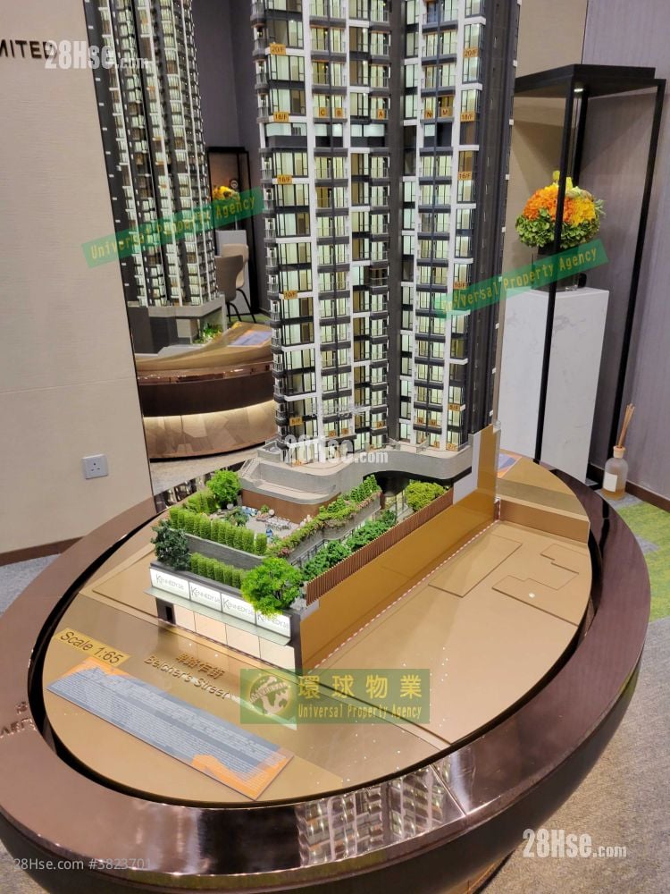 Kennedy 38 Rental 1 Bedroom , 1 Bathroom 301 ft²