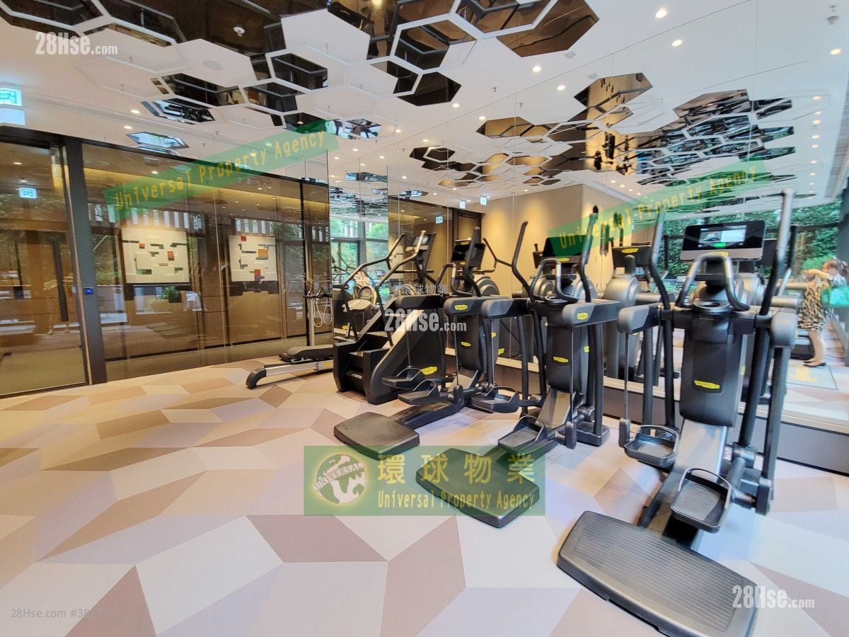 Kennedy 38 Rental 1 Bedroom , 1 Bathroom 301 ft²