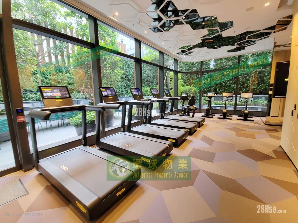 Kennedy 38 Rental 1 Bedroom , 1 Bathroom 301 ft²