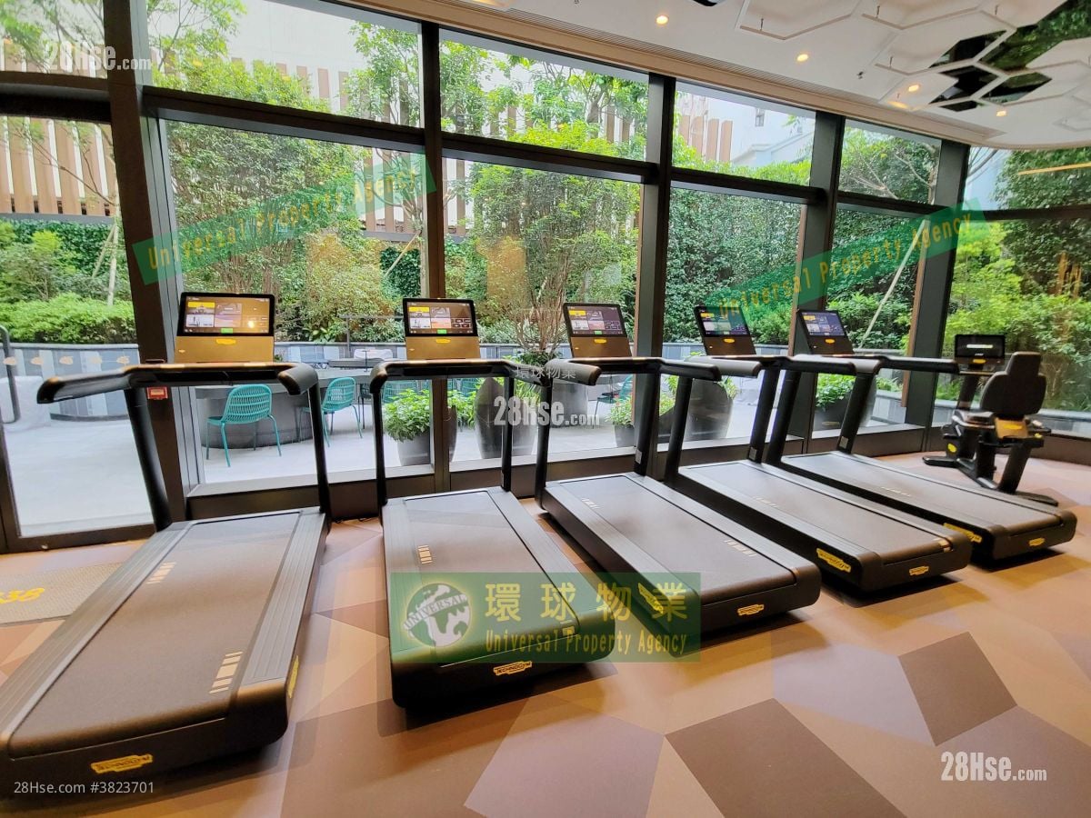 Kennedy 38 Rental 1 Bedroom , 1 Bathroom 301 ft²