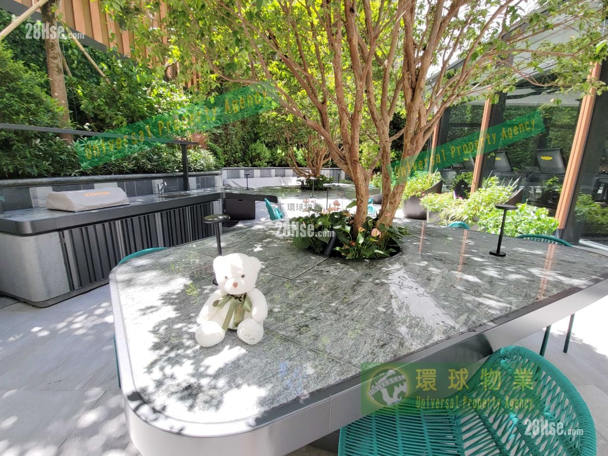 Kennedy 38 Rental 1 Bedroom , 1 Bathroom 301 ft²