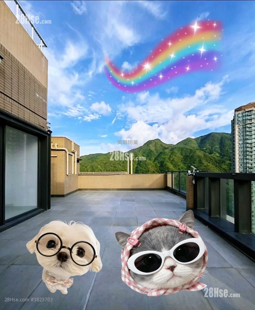 rooftoop: The Visionary Sell 3 Bedrooms , 2 Bathrooms 1,489 ft²