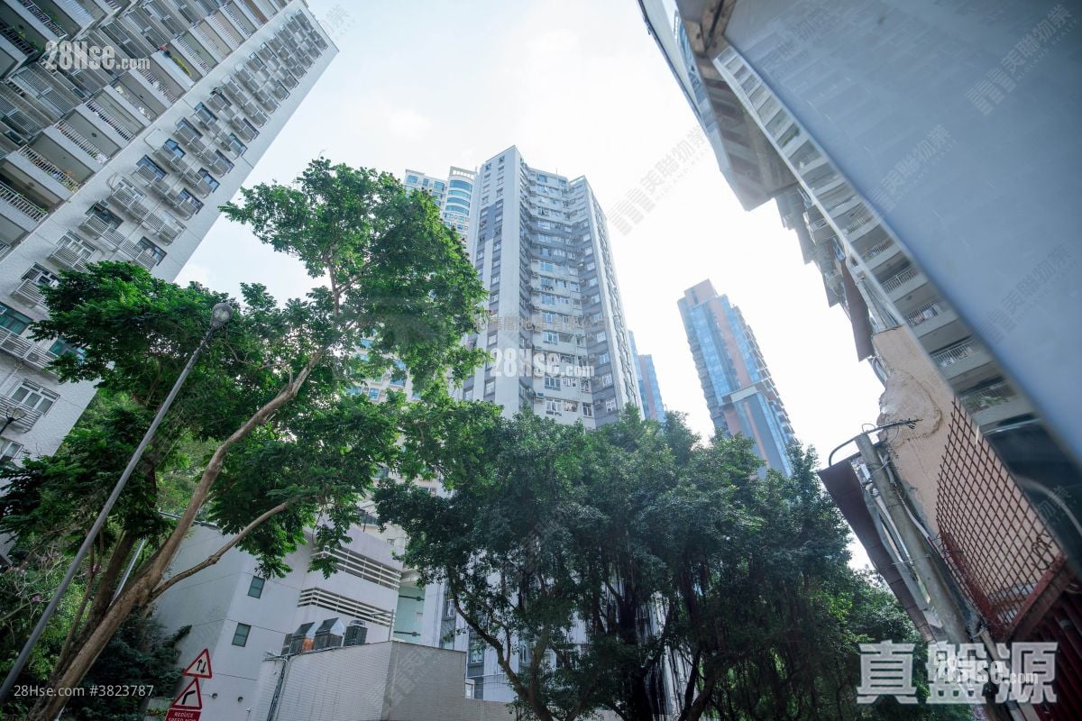 龍景花園 售盤 3 房 647 平方呎