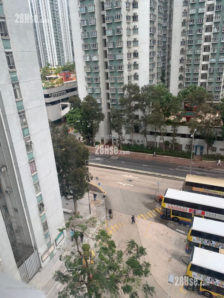 沙田第一城 租盘 2 房 , 1 浴室 327 平方尺