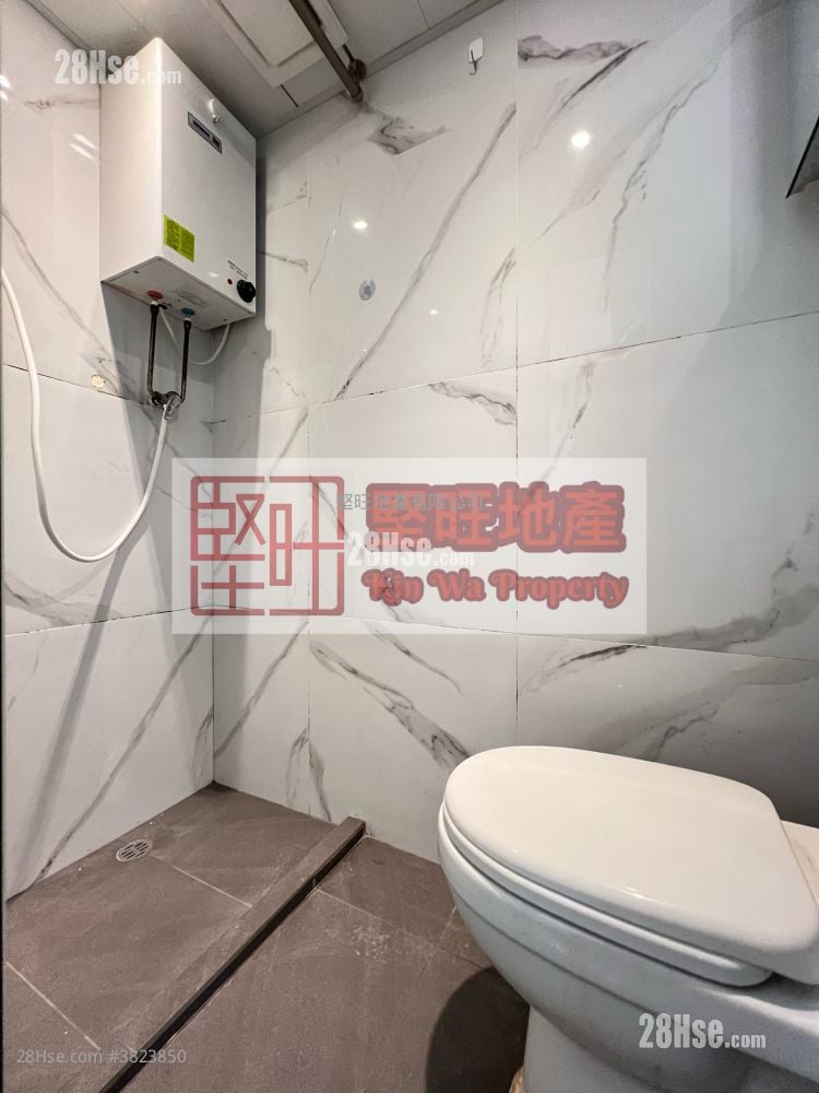 单幢楼房 租盘 开放式间隔 , 1 浴室 100 平方尺