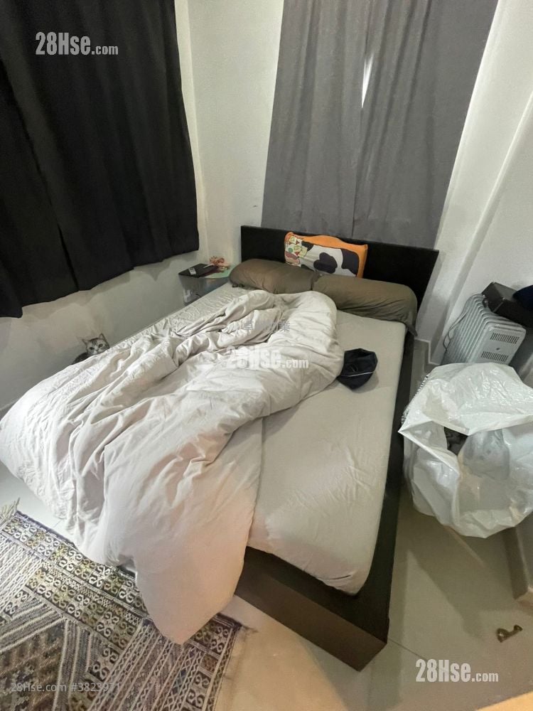 单幢楼房 租盘 1 房 , 1 浴室 436 平方尺