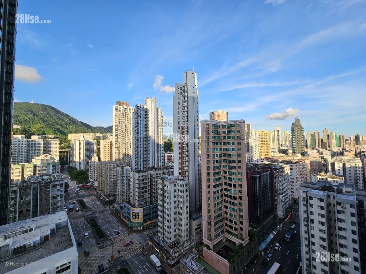 睿峰 租盤 2 房 , 1 浴室 517 平方呎