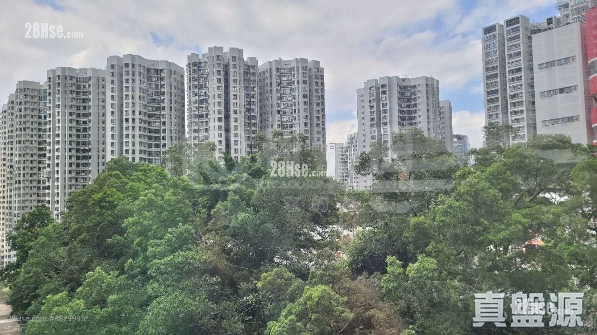 南丰新邨 售盘 2 房 , 1 浴室 391 平方尺