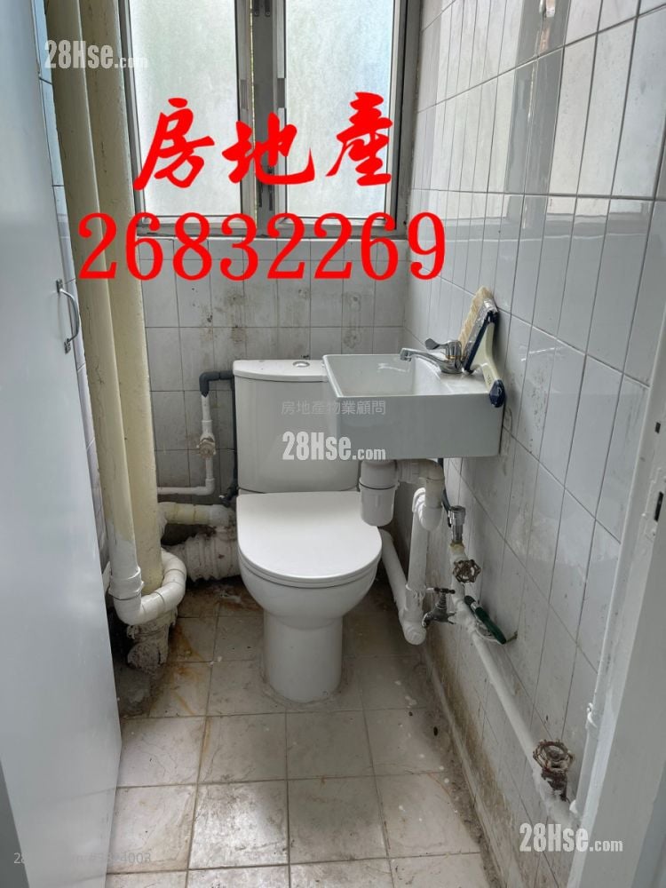 粉嶺工業村 租盤 開放式間隔 , 1 廁所