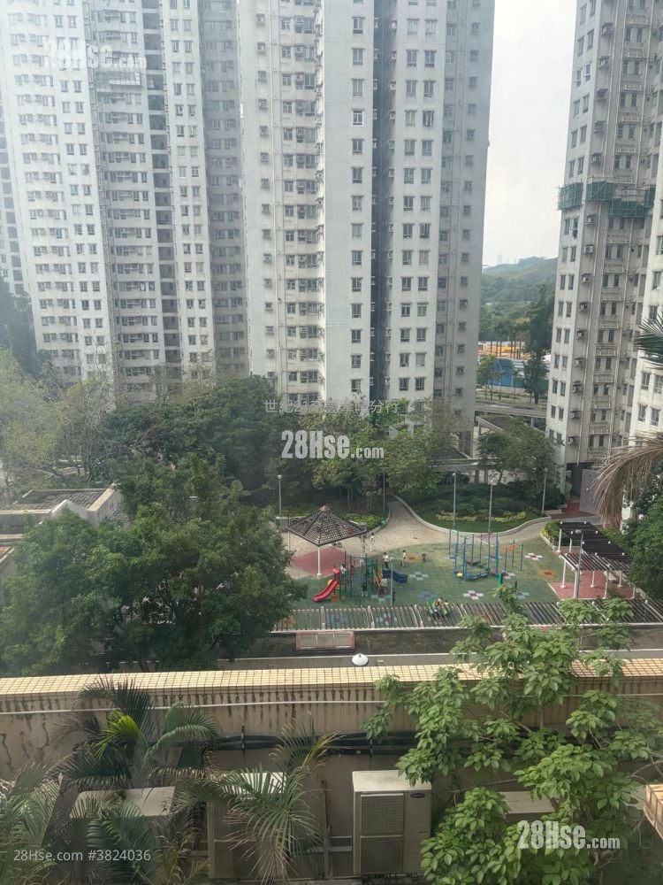 景观: 帝庭轩 租盘 2 房 , 1 浴室 469 平方尺