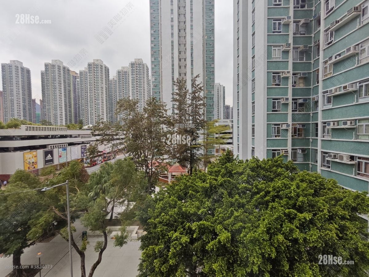 沙田第一城 租盤 3 房 451 平方呎