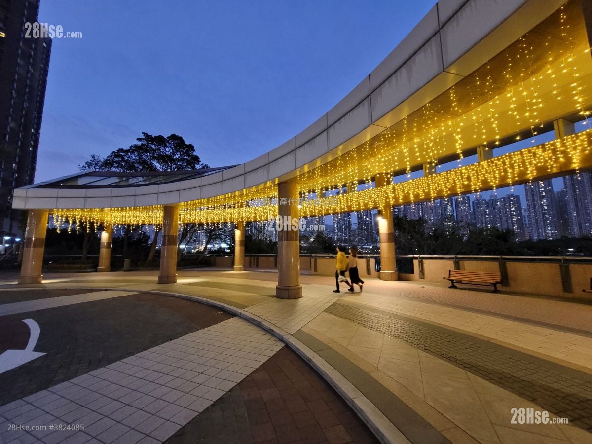 灏景湾 租盘 523 平方尺