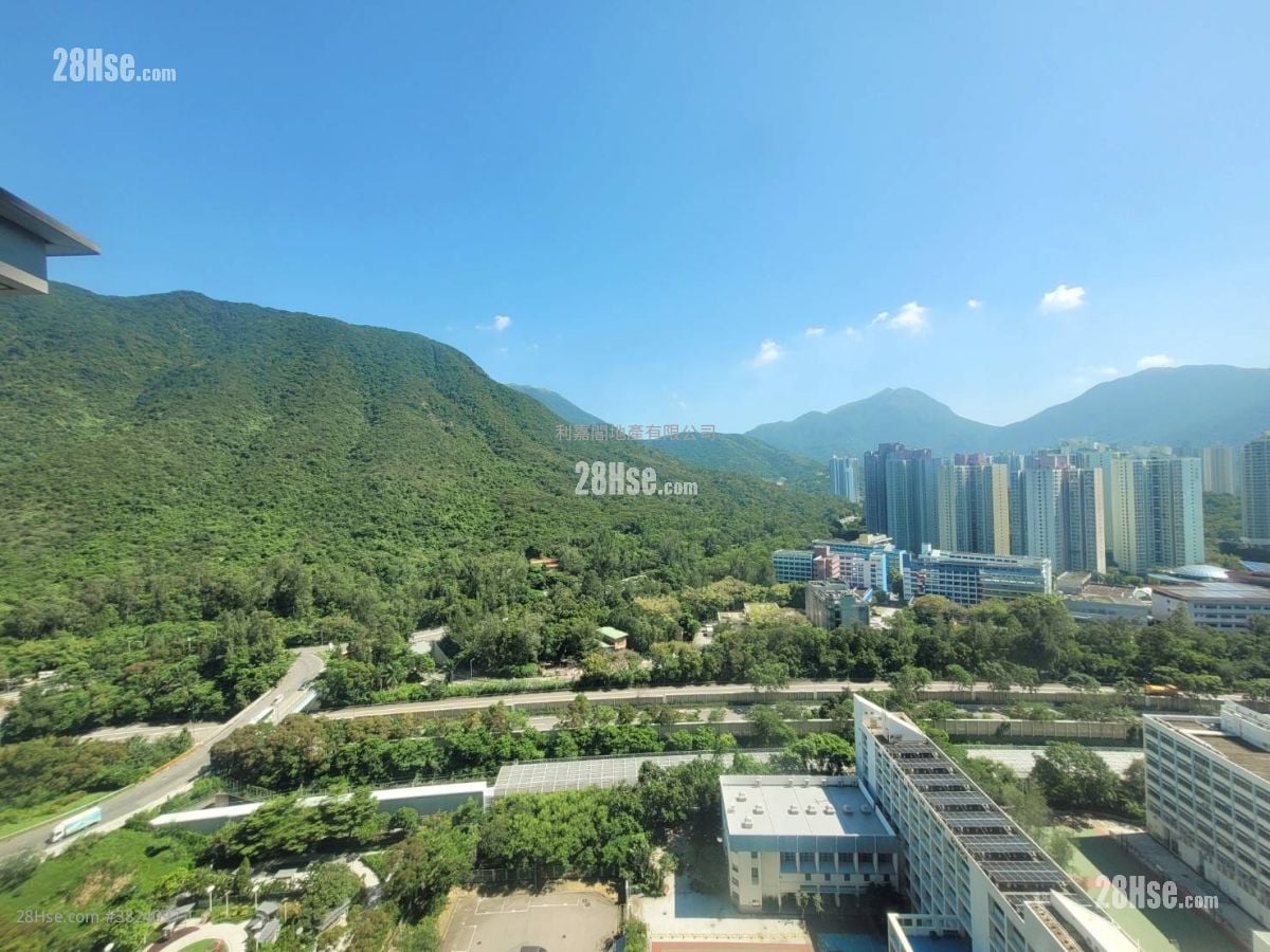 藍天海岸 租盤 2 房 492 平方呎