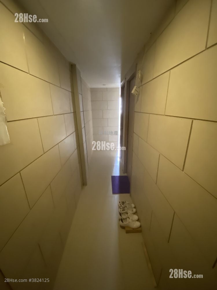 唐樓 售盤 5+ 房 662 平方呎