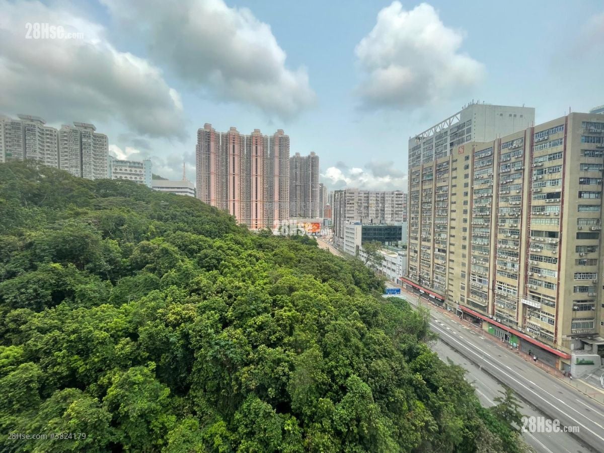 錦豐園 售盤 3 房 , 1 浴室 449 平方呎