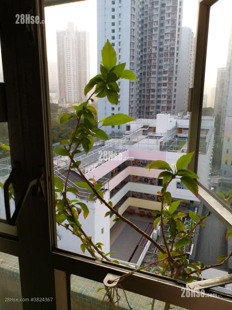 嘉强苑 售盘 3 房 , 1 浴室 559 平方尺