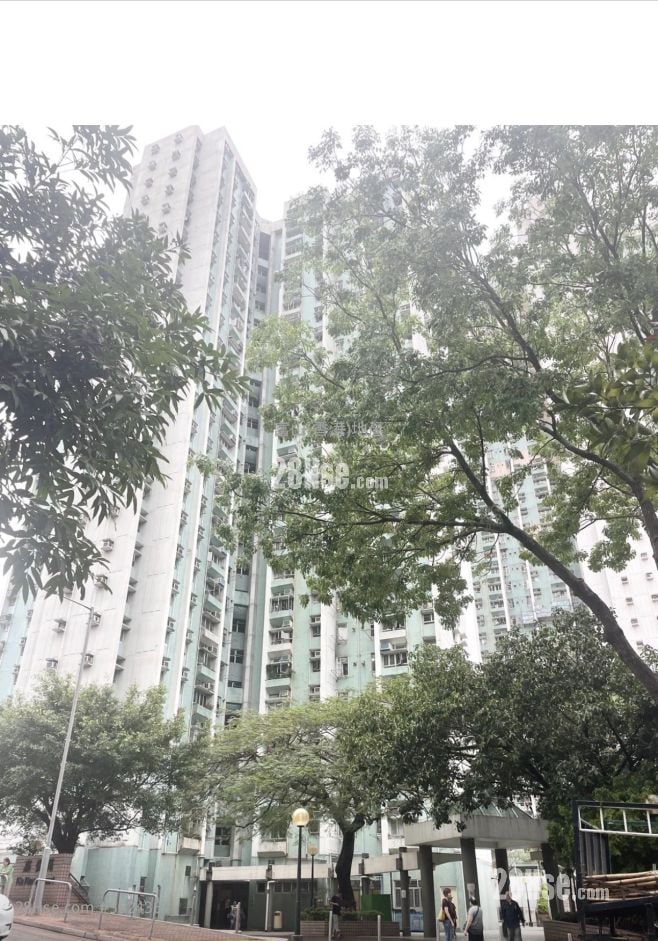 嘉强苑 售盘 3 房 , 1 浴室 559 平方尺