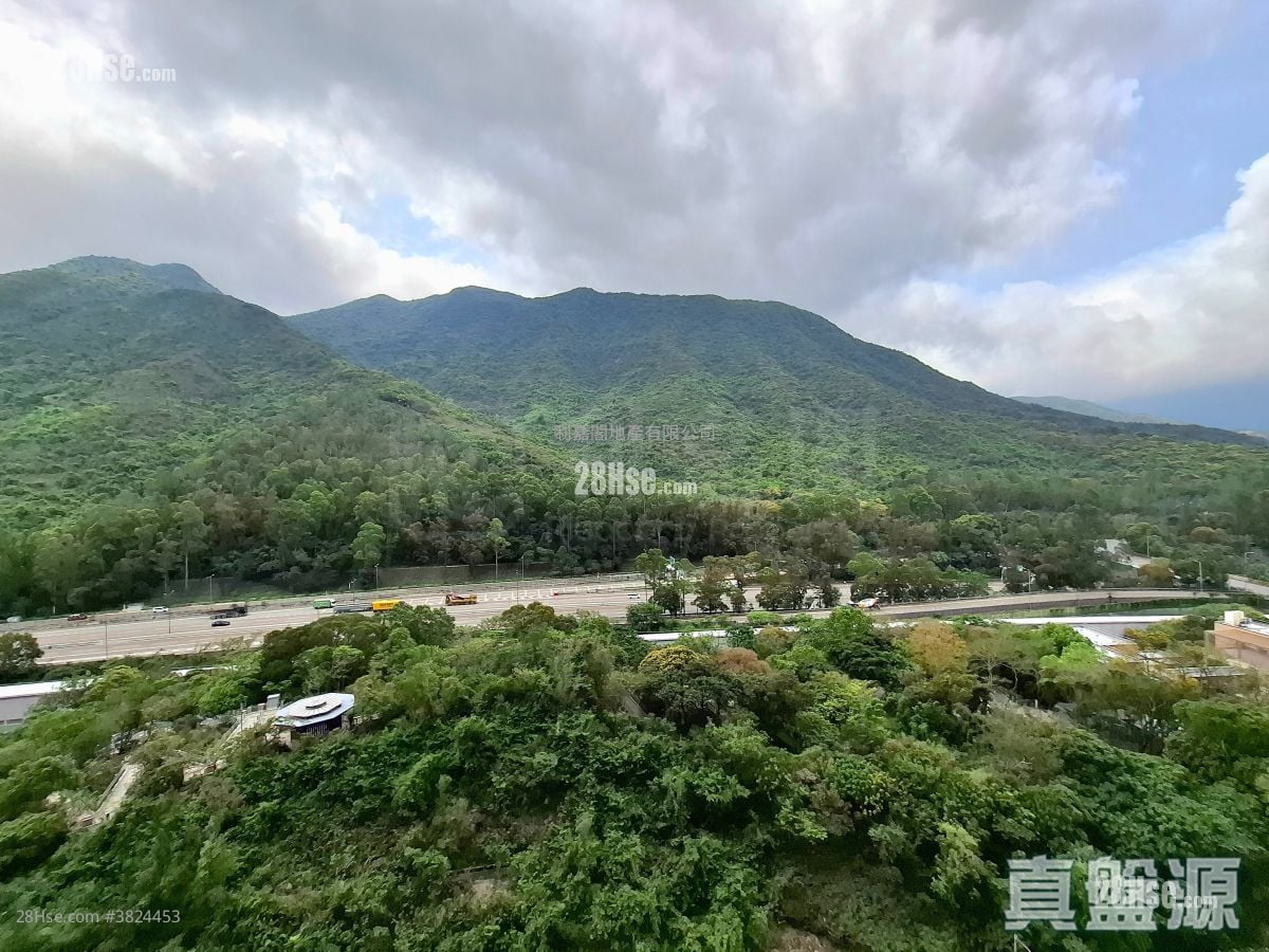 映湾园 售盘 552 平方尺