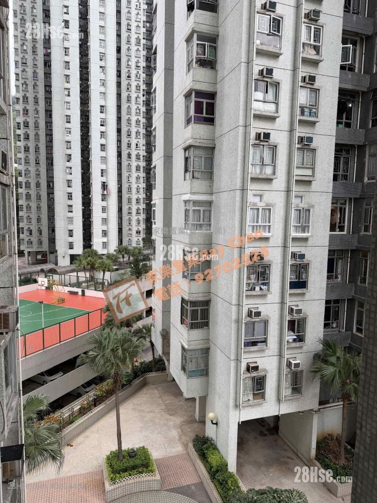 丽城花园 租盘 3 房 , 2 浴室 668 平方尺