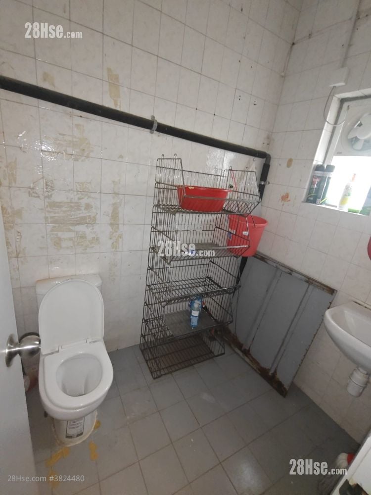 唐樓 租盤 1 廁所