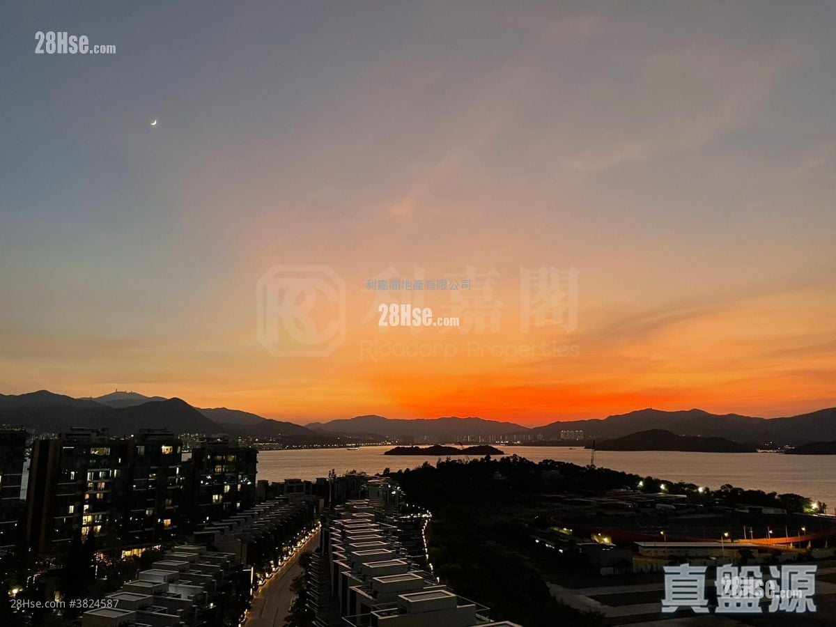 泓碧 售盤 1 房 310 平方呎