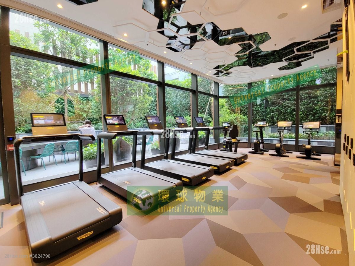 Kennedy 38 租盤 2 房 , 1 浴室 456 平方呎