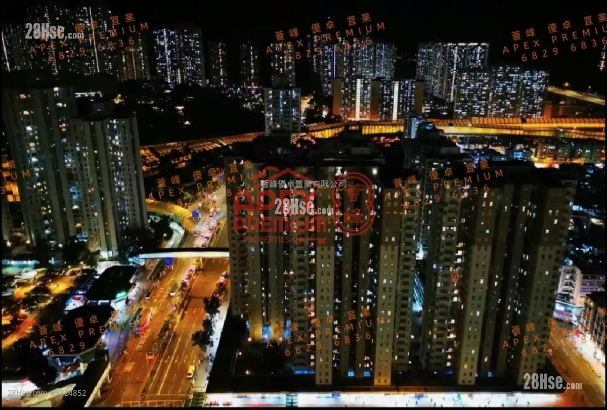 柏傲莊 租盤 開放式間隔 , 1 浴室 264 平方呎