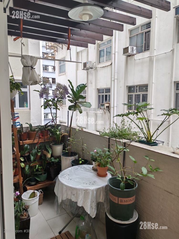 百德大廈 售盤 3 房 , 2 浴室 688 平方呎