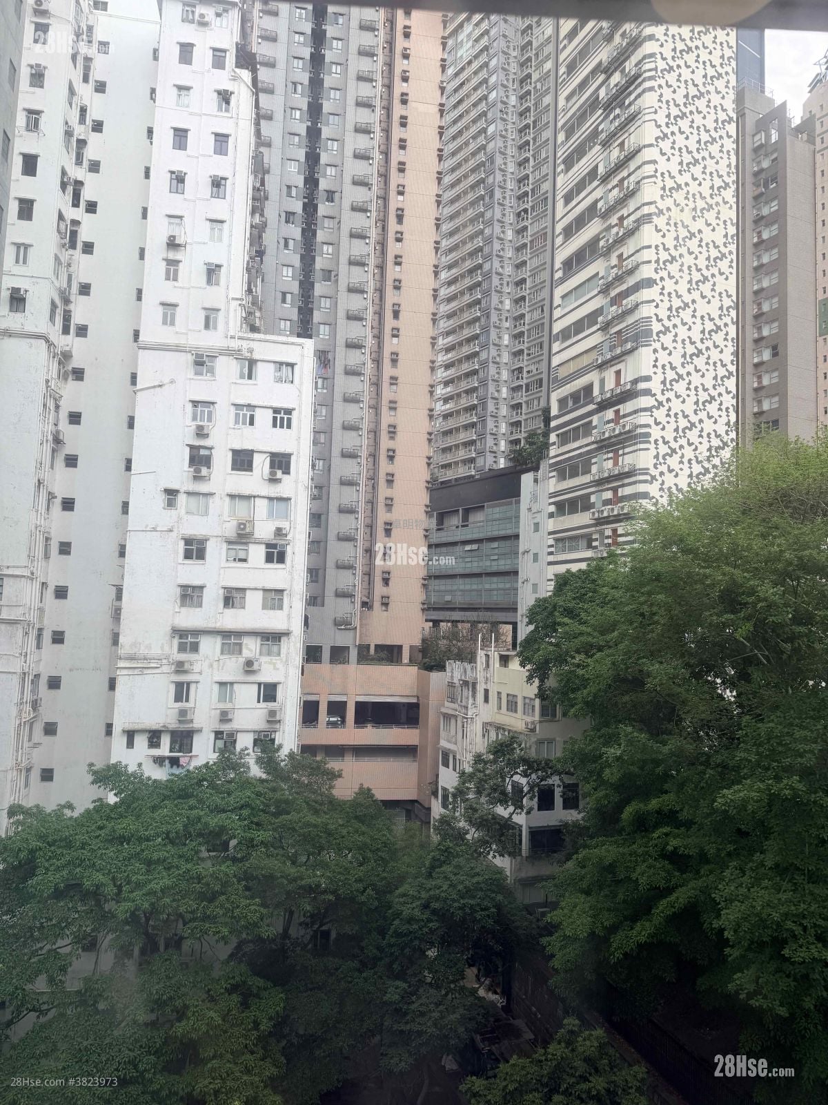 裕利大厦 租盘 2 房 , 1 浴室 260 平方尺