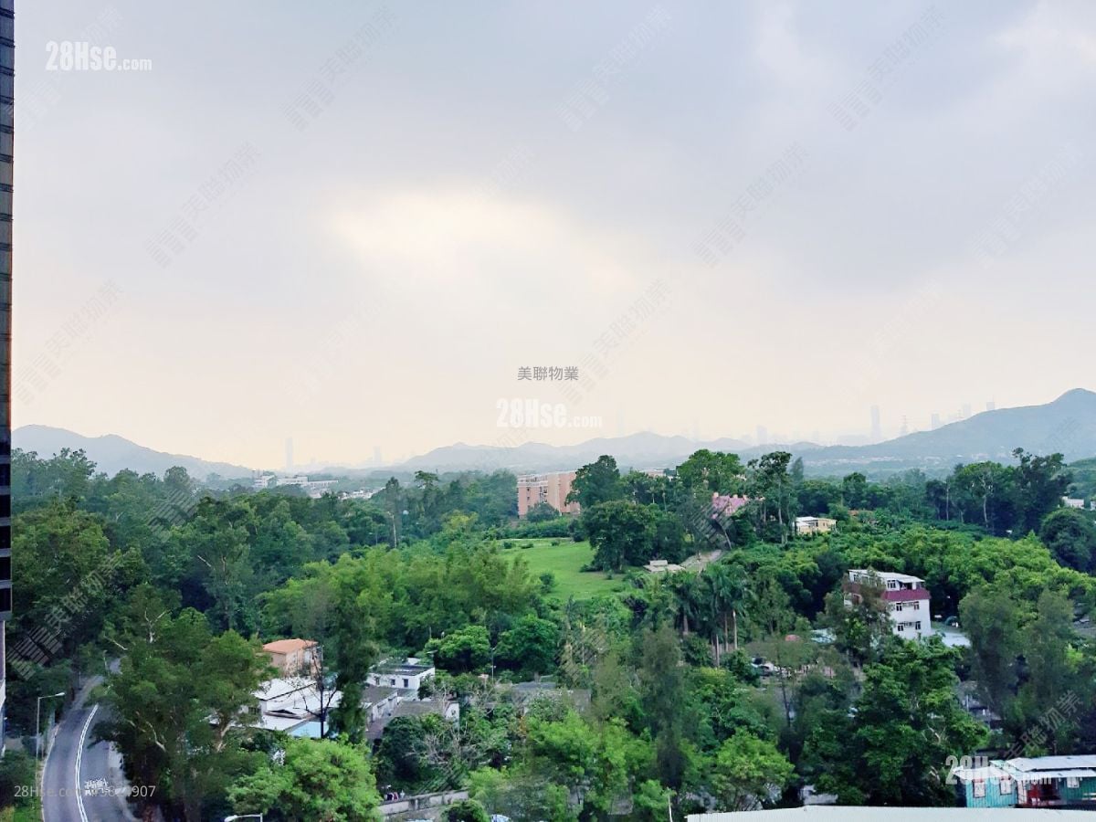 高爾夫御苑 售盤 1 浴室 276 平方呎