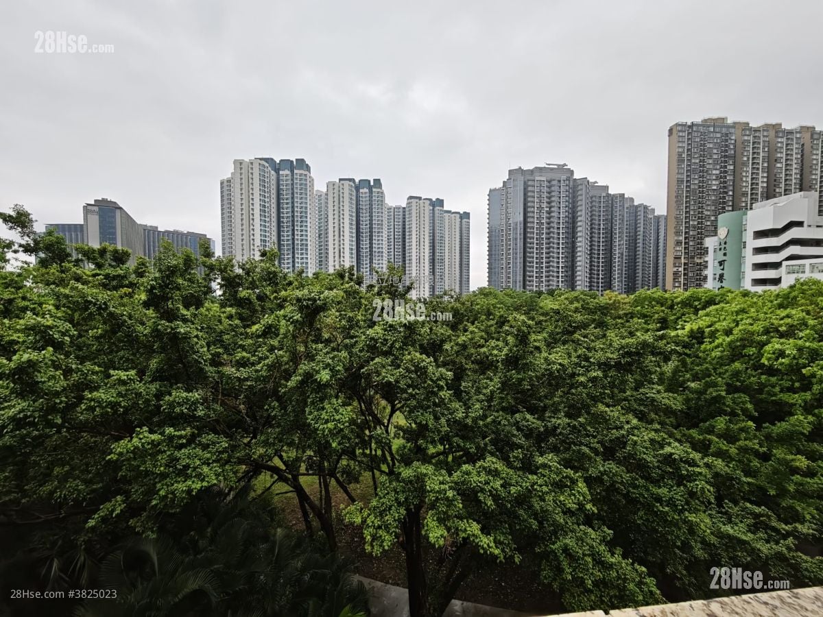 映灣園 租盤 5+ 房 , 4 浴室 2,545 平方呎