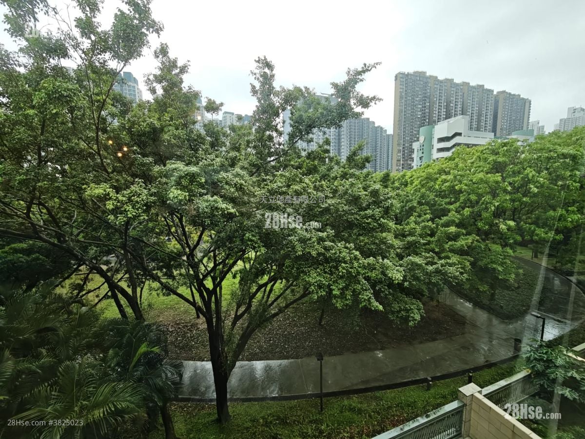 映灣園 租盤 5+ 房 , 4 浴室 2,545 平方呎