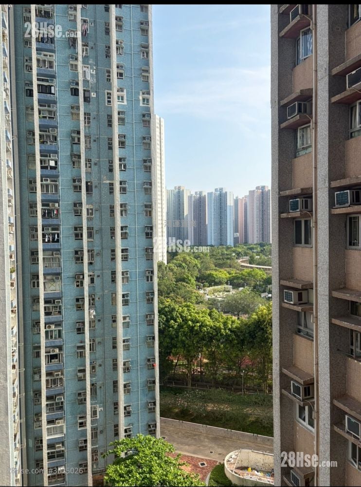 颂明苑 租盘 2 房 , 1 浴室 401 平方尺