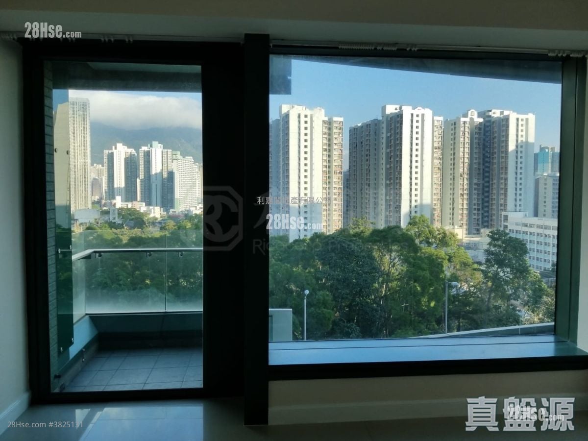 尚御 租盘 990 平方尺