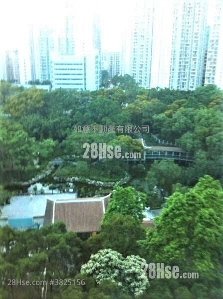 海逸豪園 租盤 4 房 , 3 浴室 1,232 平方呎