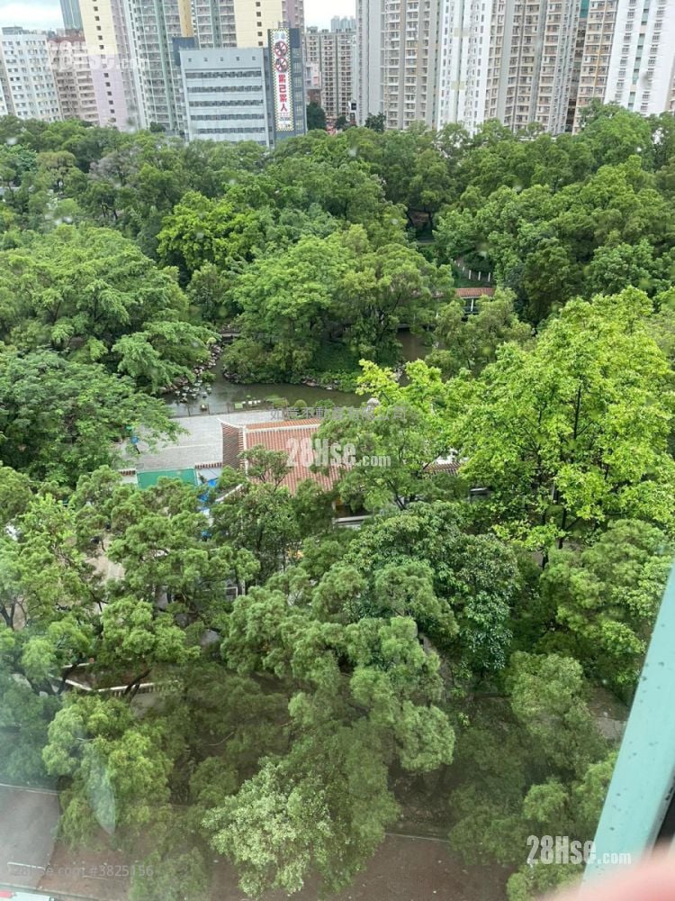 海逸豪園 租盤 4 房 , 3 浴室 1,232 平方呎