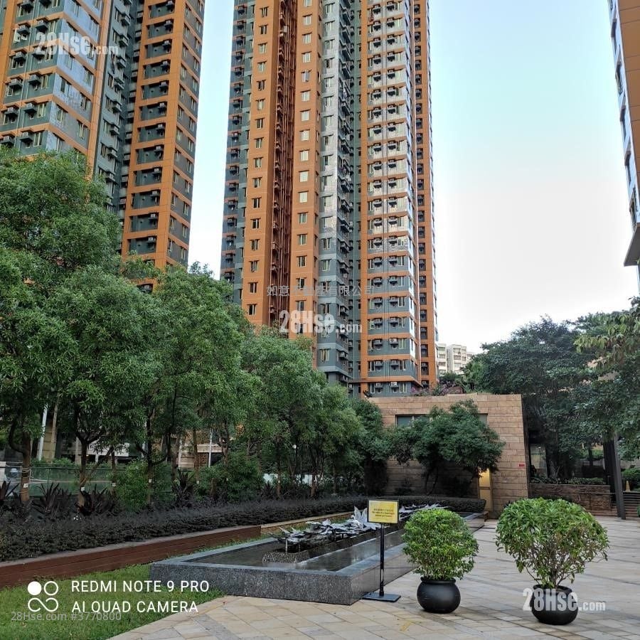 海濱南岸 租盤 2 房 , 1 浴室 432 平方呎