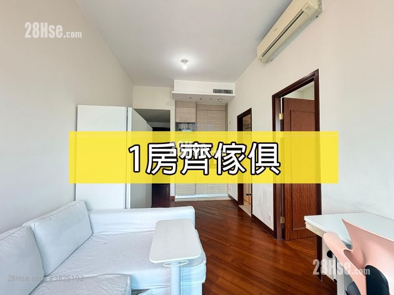 The Avenue Rental 1 Bedroom , 1 Bathroom 442 ft²