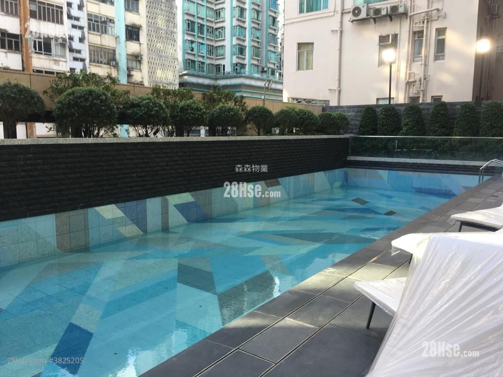 君豪峰 租盤 1 房 , 1 浴室 293 平方呎