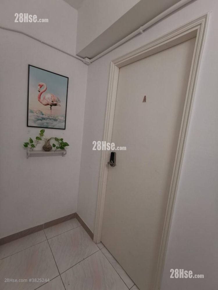 波斯富大廈 租盤 開放式間隔 , 1 浴室 500 平方呎