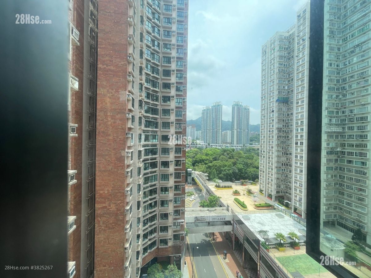 New Town Plaza Rental 583 ft²