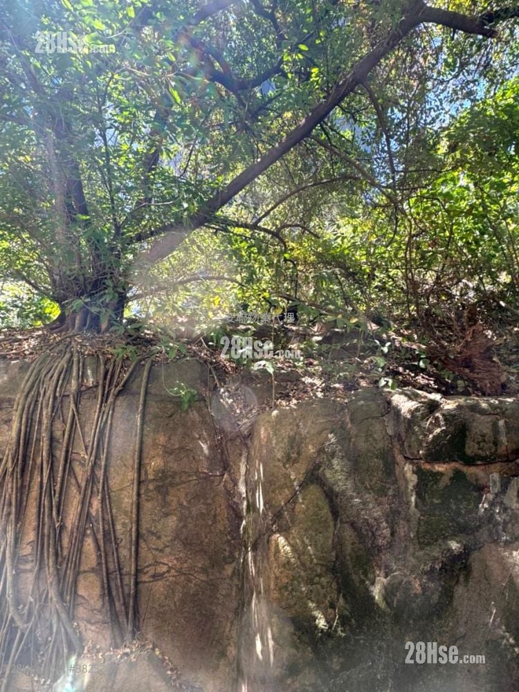 聯興工廠大廈 租盤