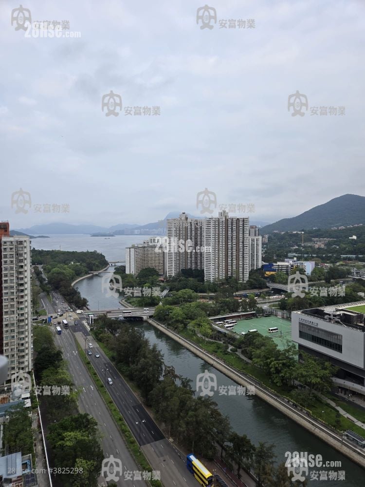 大埔中心 租盤 2 房 , 1 浴室 313 平方呎