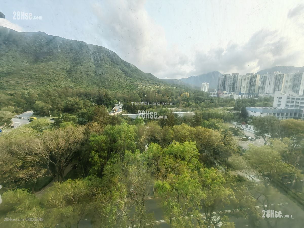 藍天海岸 售盤 2 房 485 平方呎