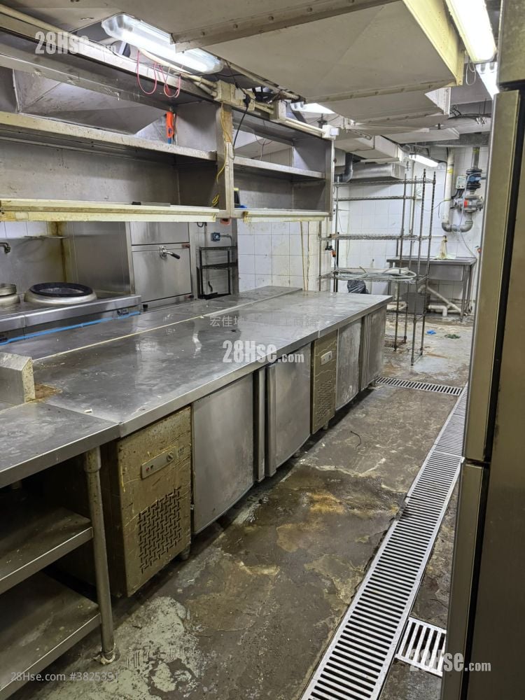 Top View Mansion Rental